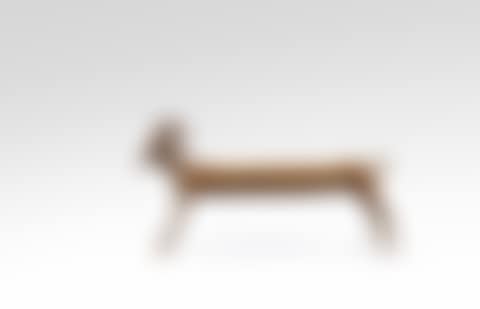 Capricorne I (preview)