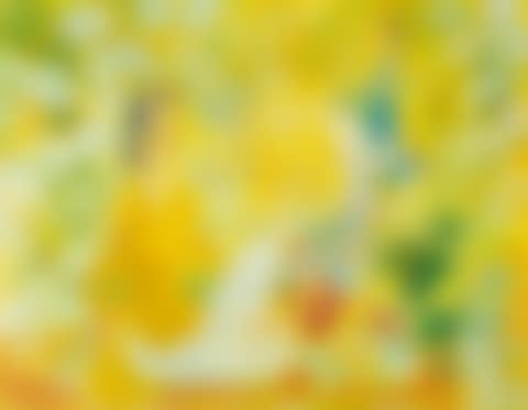 Deux dames dans le jardin (Two Ladies in the Garden) (preview)