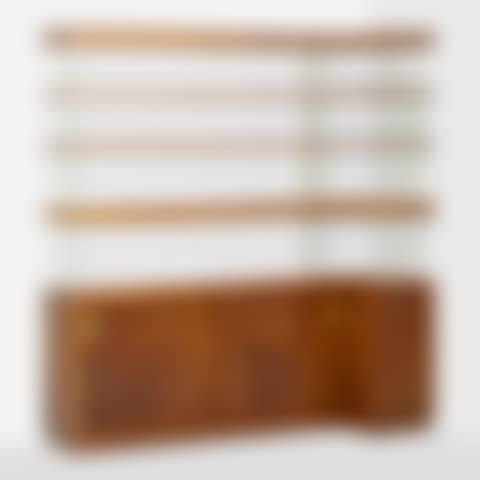 Unique wall-mounted bookcase (preview)