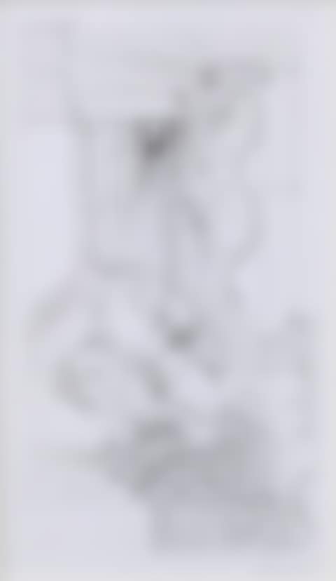 OHNE TITEL (UNTITLED) (preview)