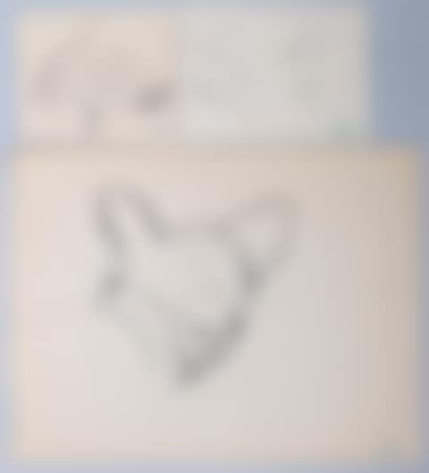 THREE STUDIES OF DOG HEADS (preview)