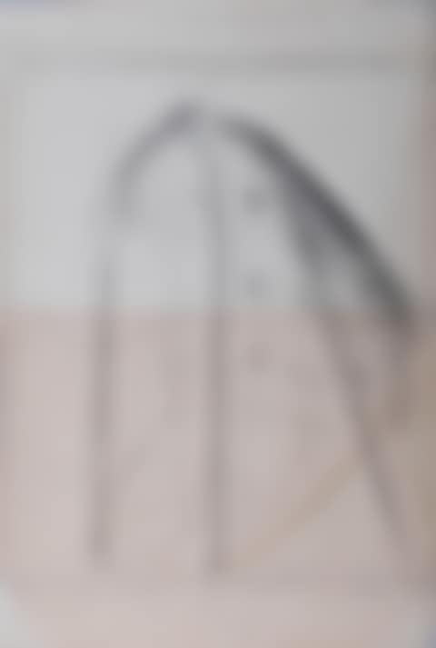 WOMAN WITH A VEIL (preview)