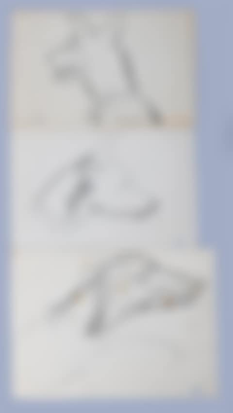 THREE STUDIES OF DOG HEADS (preview)
