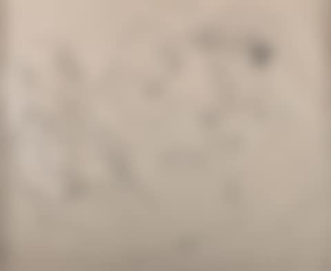 UNTITLED (preview)