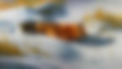 FOX (preview)