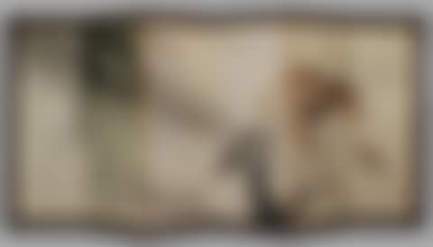 TIGER VERSUS DRAGON SCREEN six panel screen (preview)