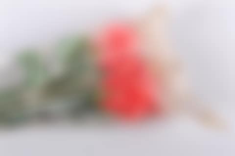 "WRAPPED ROSE" (preview)
