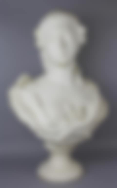 MARBLE BUST OF A WOMAN (preview)