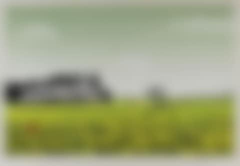 FIELD IN SPRING (preview)