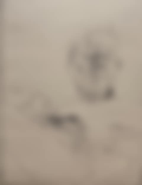 Self portrait (preview)