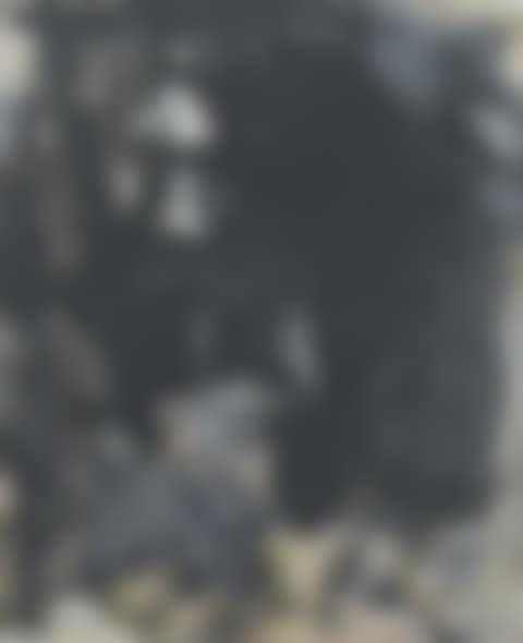 Abstract (preview)