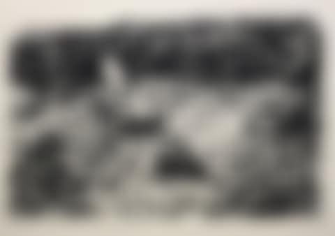 Landscape (preview)