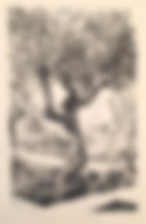 Tree in Landscape (preview)