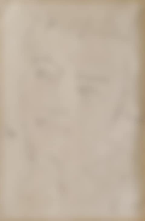 Portrait (preview)