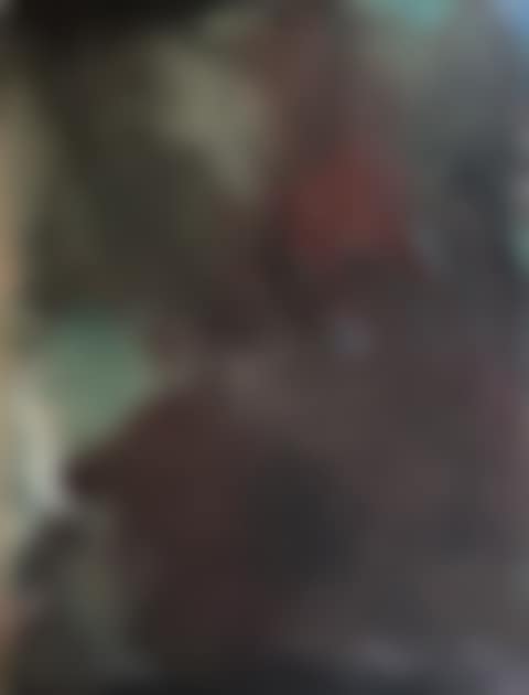 Abstract (preview)