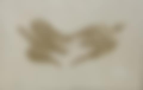 Two birds in gold (preview)