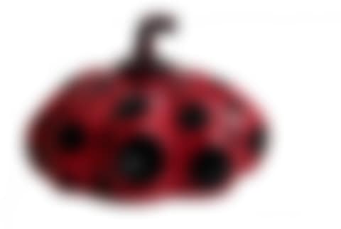Red pumpkin. Naoshima (preview)