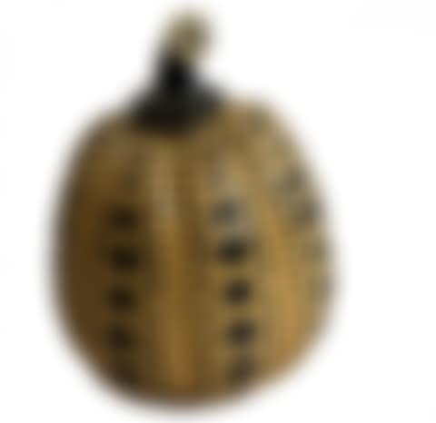 Yellow pumpkin (preview)