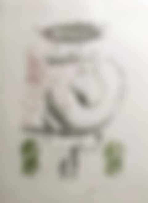 Flies (preview)