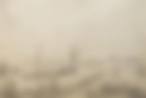 Dutch Landscape (preview)