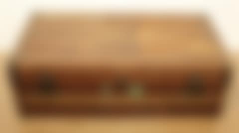 Travel trunk (preview)