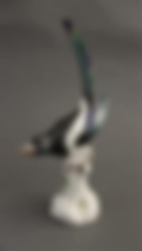 Trendy bird (preview)