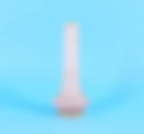 Small soliflore vase (preview)