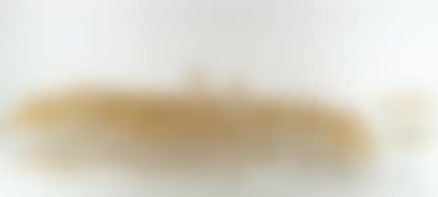 Service of cut crystal glasses (preview)