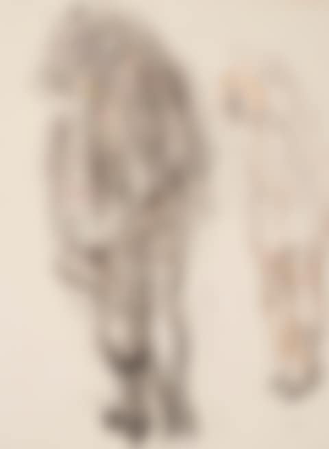 Woman Undressing (preview)