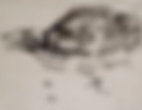 Dampfer mit Rauchwolke (preview)