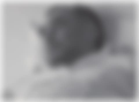 Untitled (Bolego) (preview)