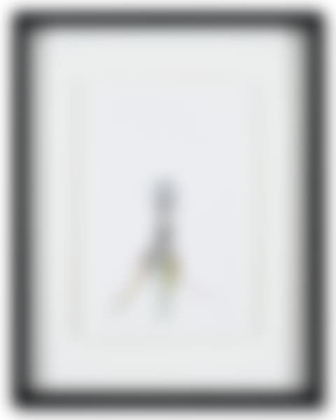 Untitled (preview)