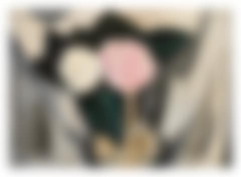 Pink and White Rose (preview)