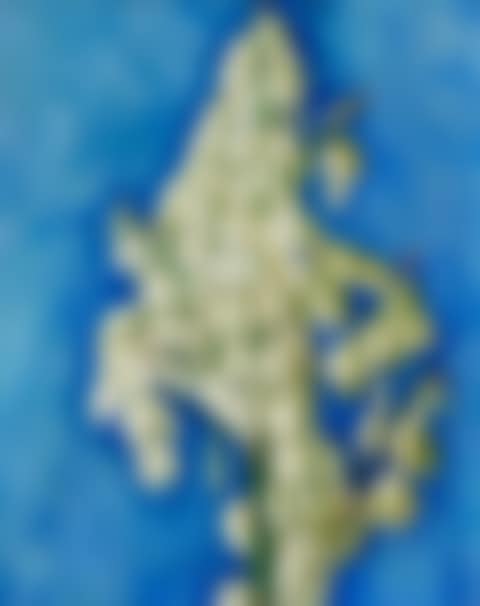 White Yucca (preview)