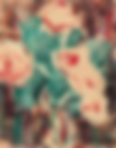 Pfingstrosen (preview)