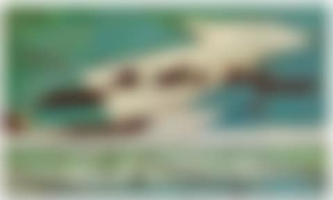Seascape (preview)