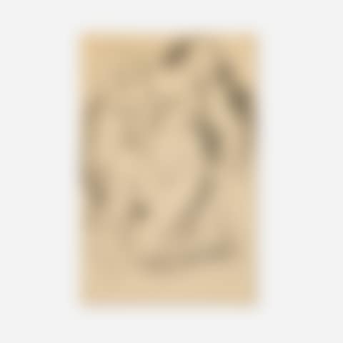 Two Nudes (preview)