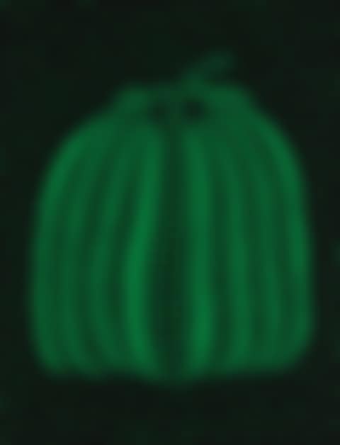 Pumpkin (GT) (preview)