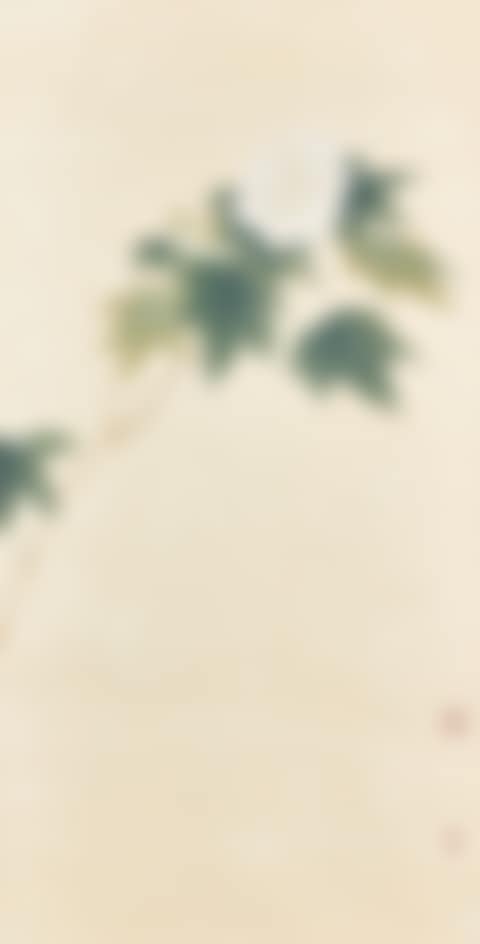 White Hibiscus (preview)