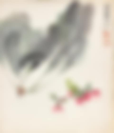Cabbage and Radish (preview)