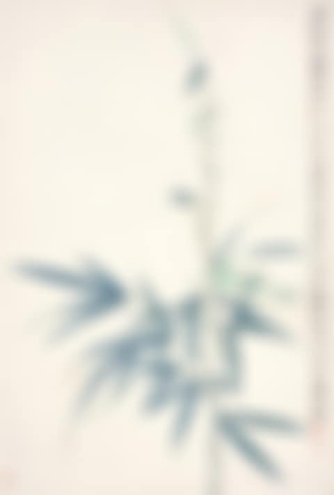 Bamboo (preview)