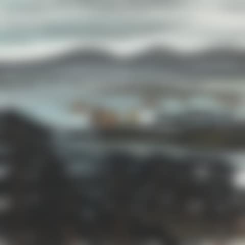 Sailing on Riverbank (preview)