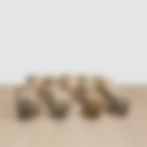 21 Backs (preview)