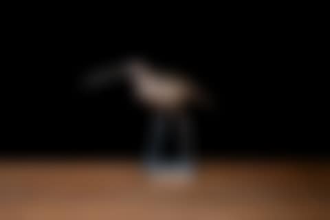 Sculpture dite « Suokurppa » (preview)