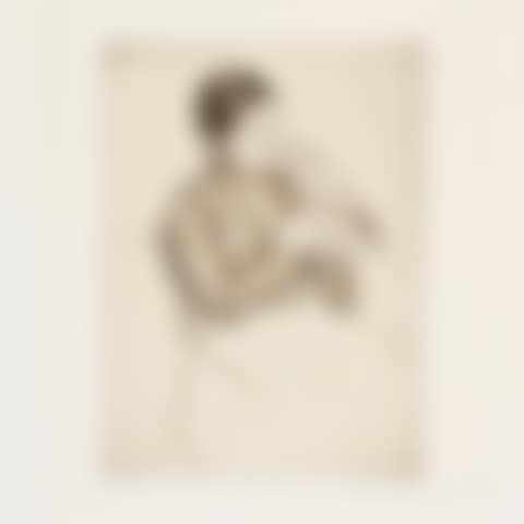 The Parrot (Breeskin 138 V/VII) (preview)