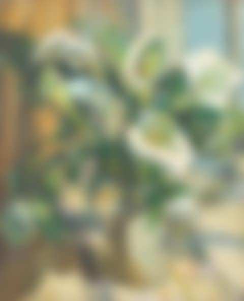 Arum Lilies in a jug (preview)