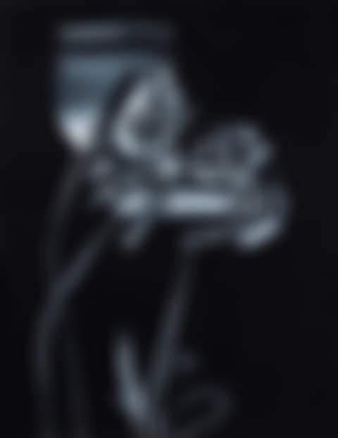 The Field Poppy (preview)