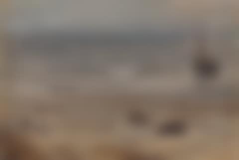 Beach Scene (preview)