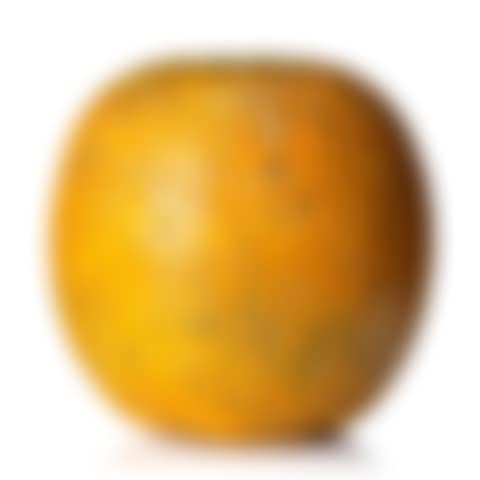 An orange (preview)