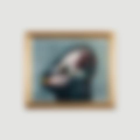 Double Image (preview)